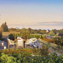 new development